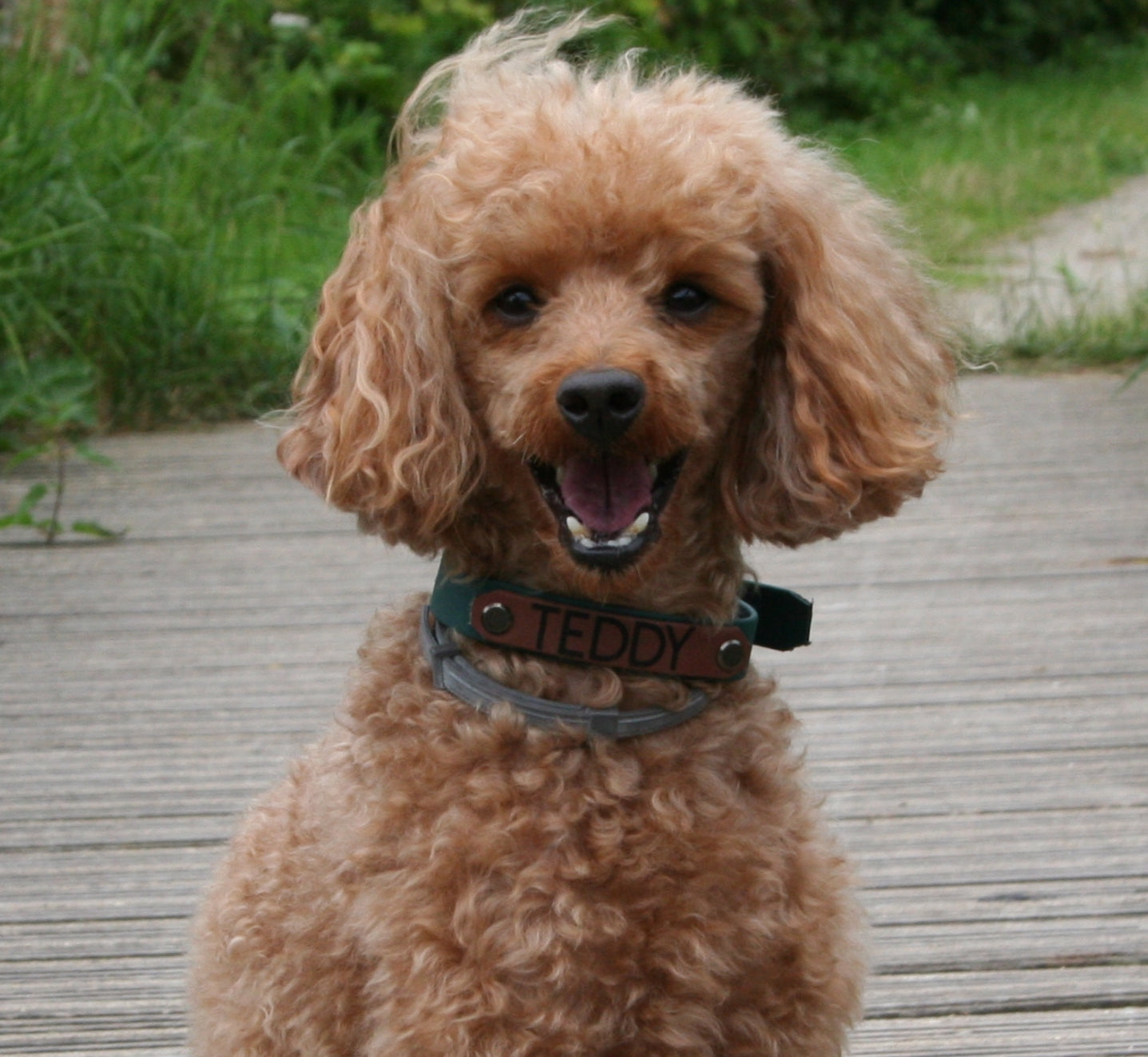 Biothane collar name tag