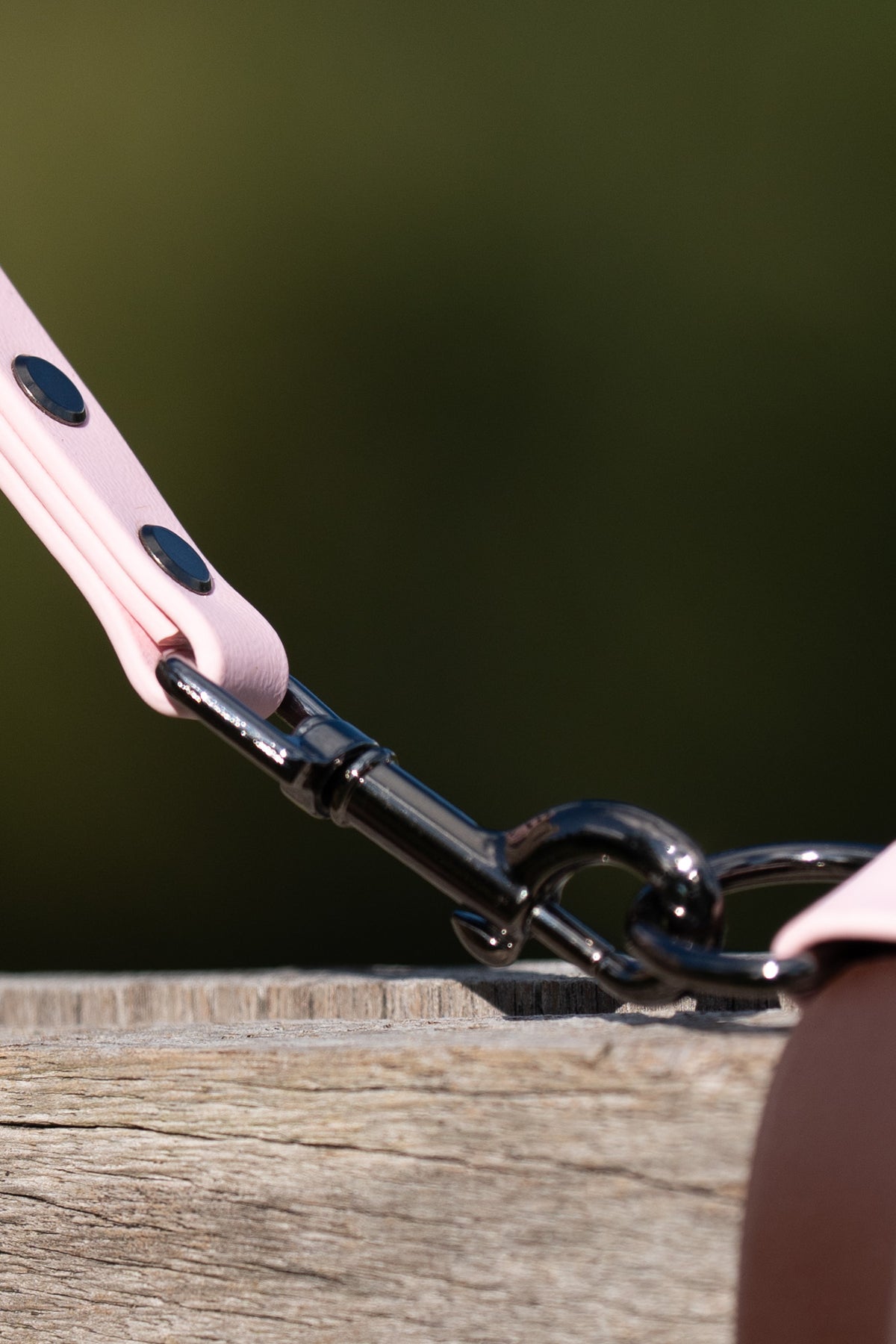 Biothane Lanyard Lou