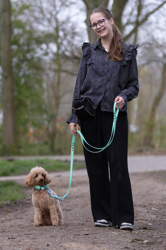 Flora 3-position biothane leash