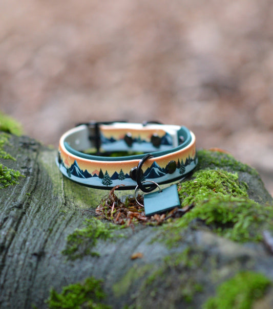 Biothane halsband tag