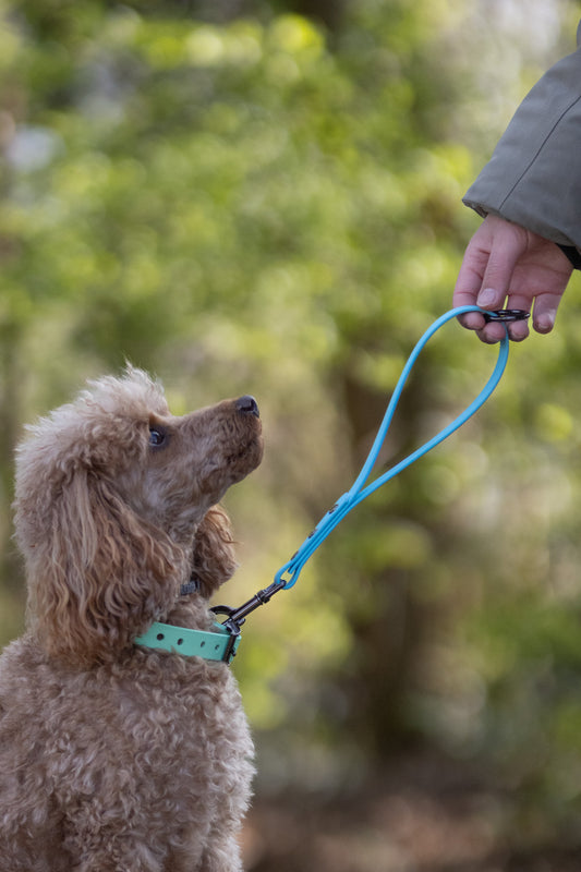 Flora biothane card holder