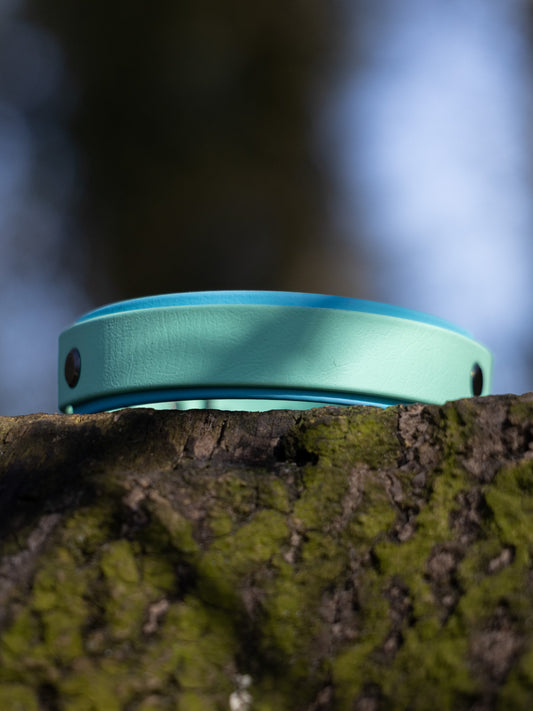Flora biothane luxury dog collar