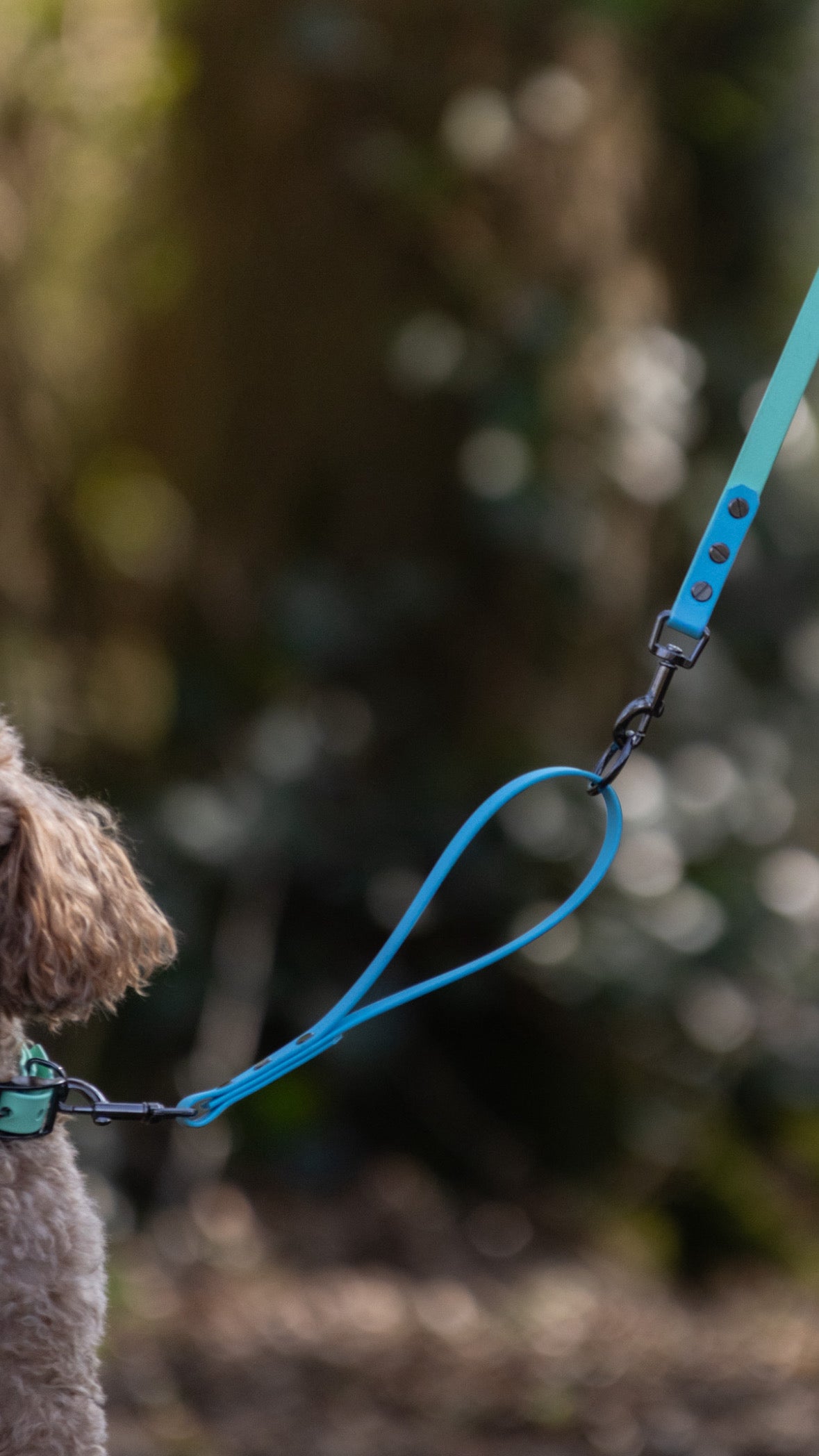 Biothane Lanyard Lou