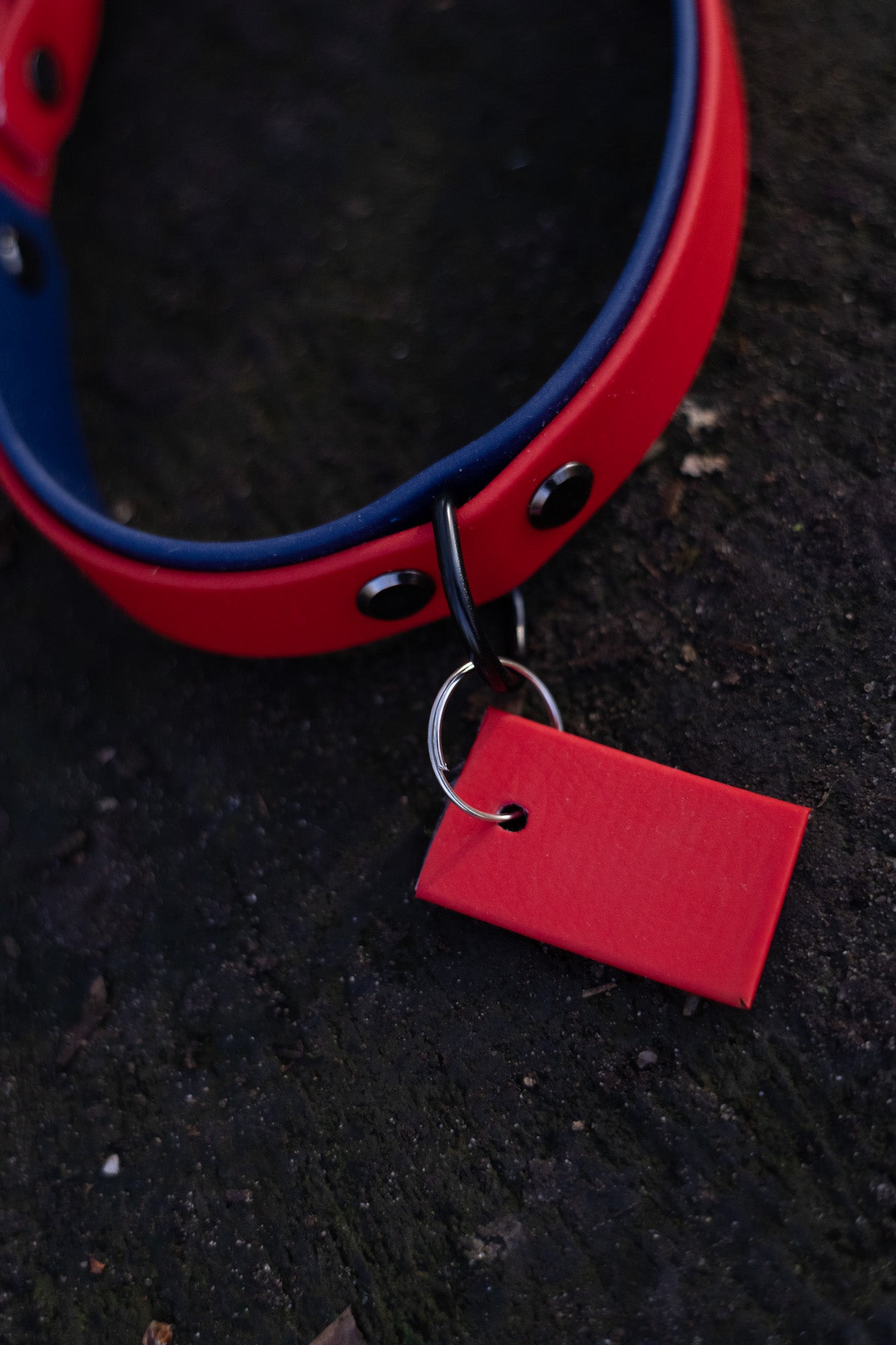 Pre made biothane halsband tag + basic tag