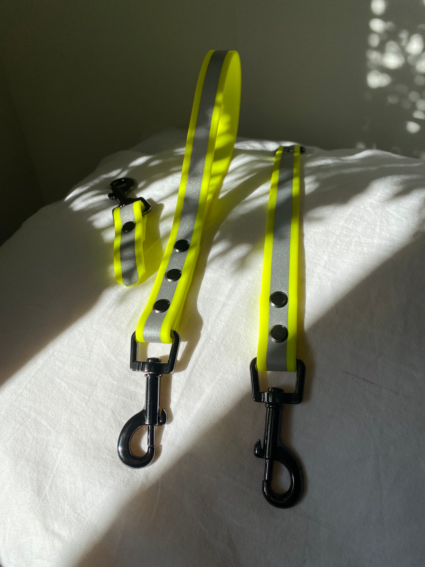 Biothane reflective       (limited edition)