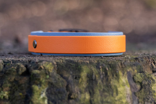 Pre made biothane halsband double