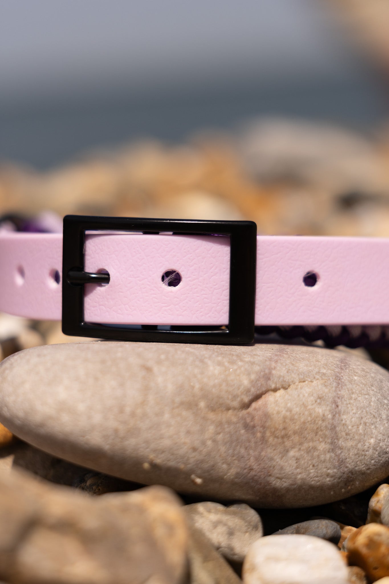 Paracord halsband maat M