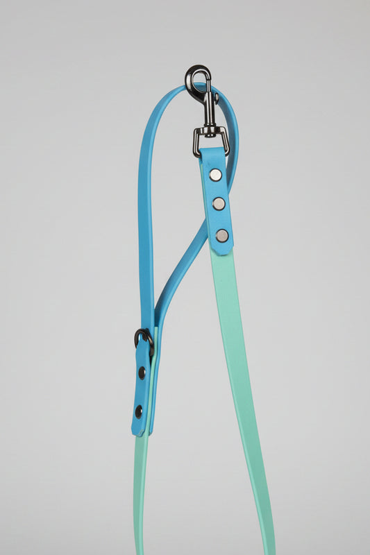 Biothane Leash Lo'ak