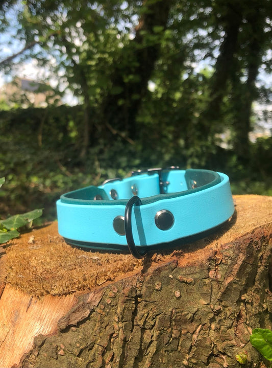 Pre made biothane halsband tag