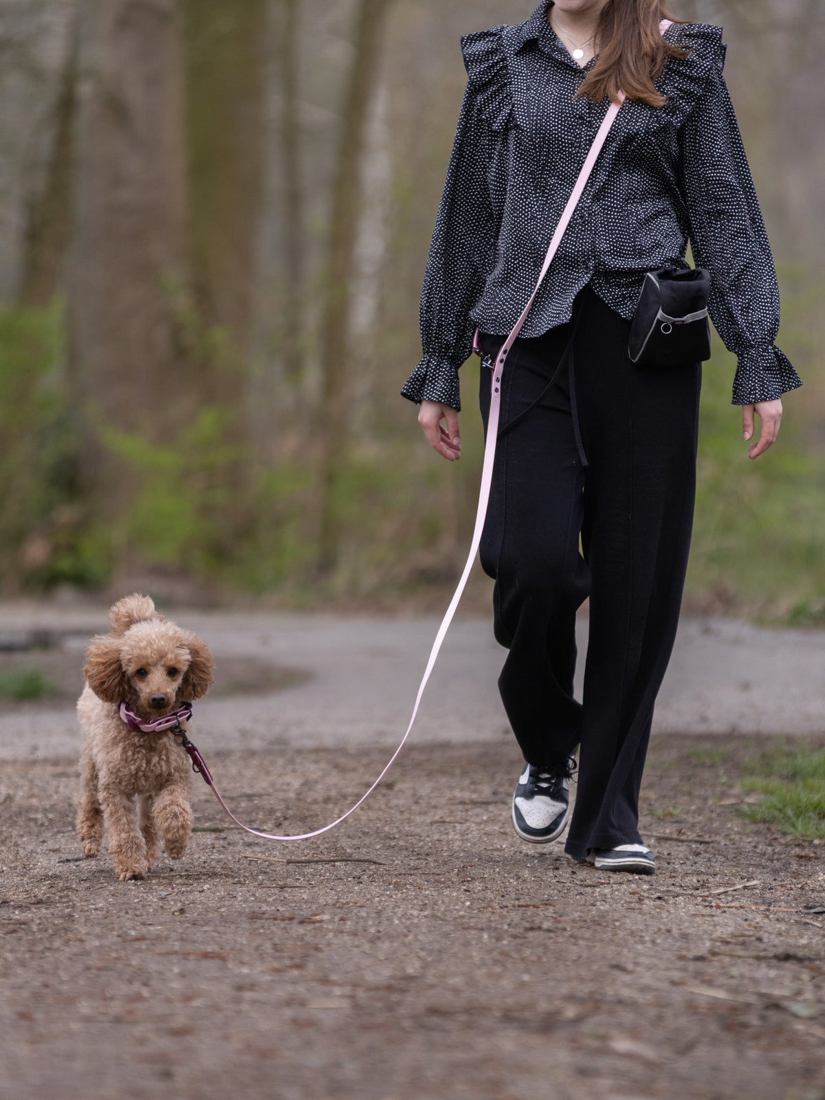 Biothane Leash Koda