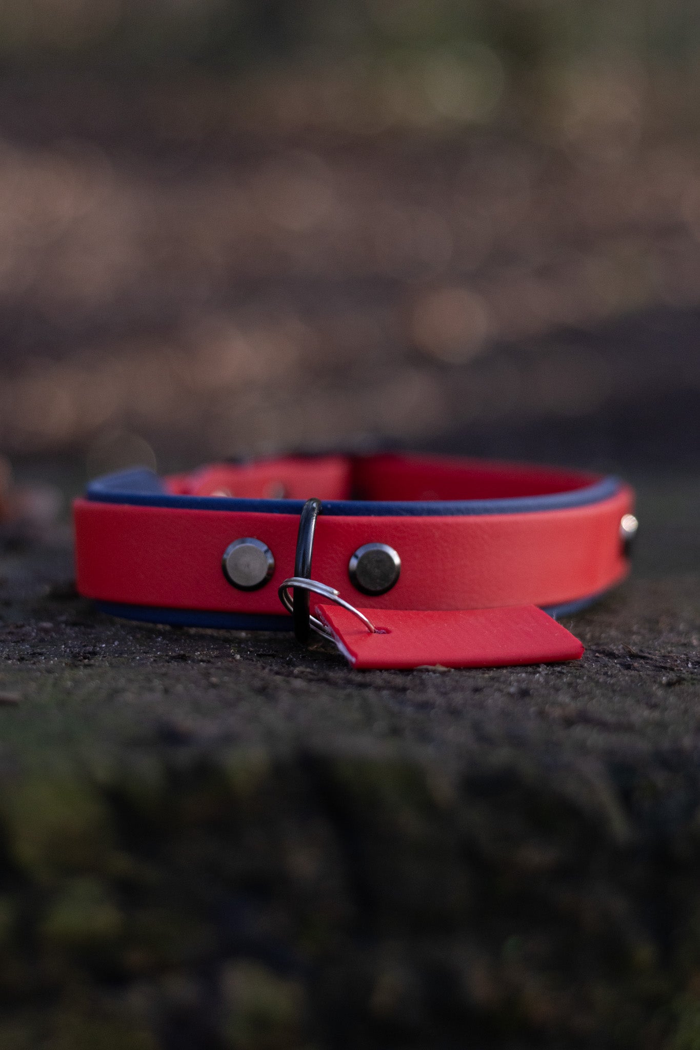 Pre made biothane halsband tag + basic tag