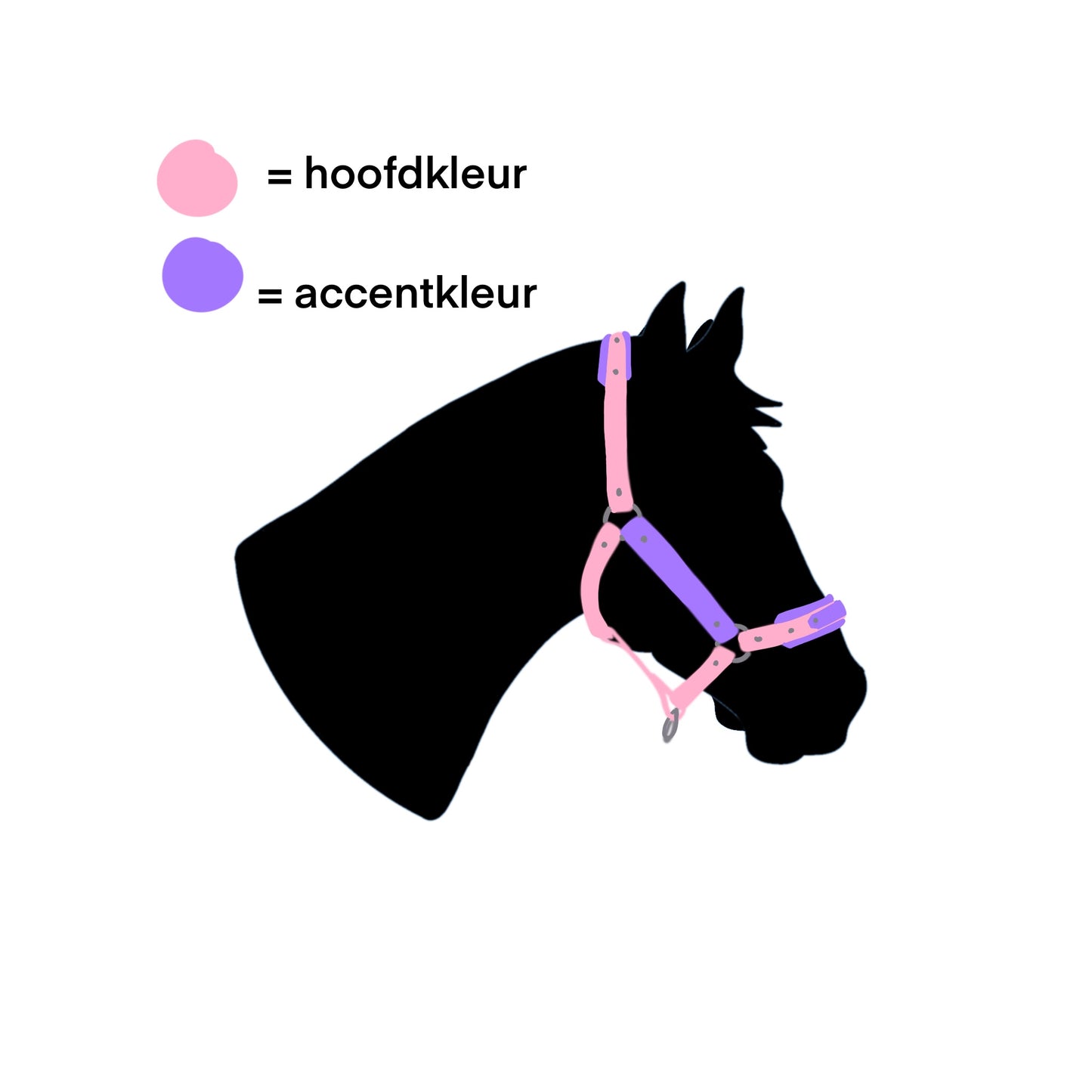 Biothane halter name tag (custom made)