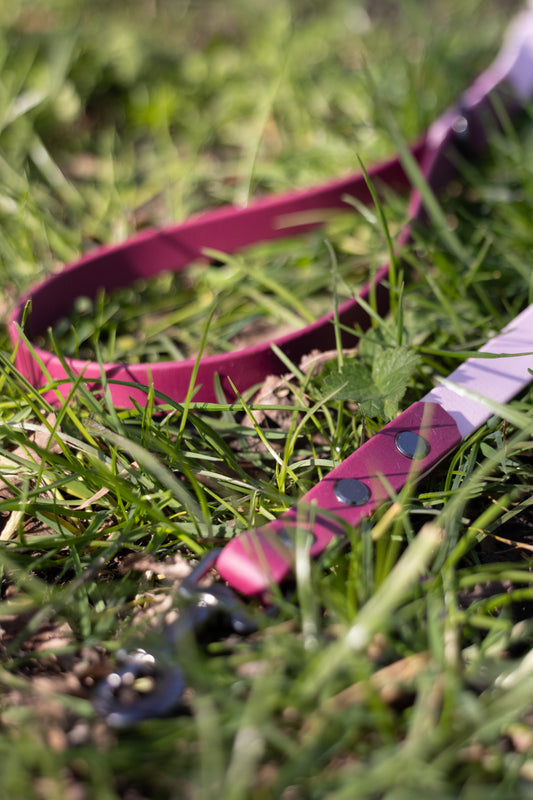 Blush luxury biothane leash