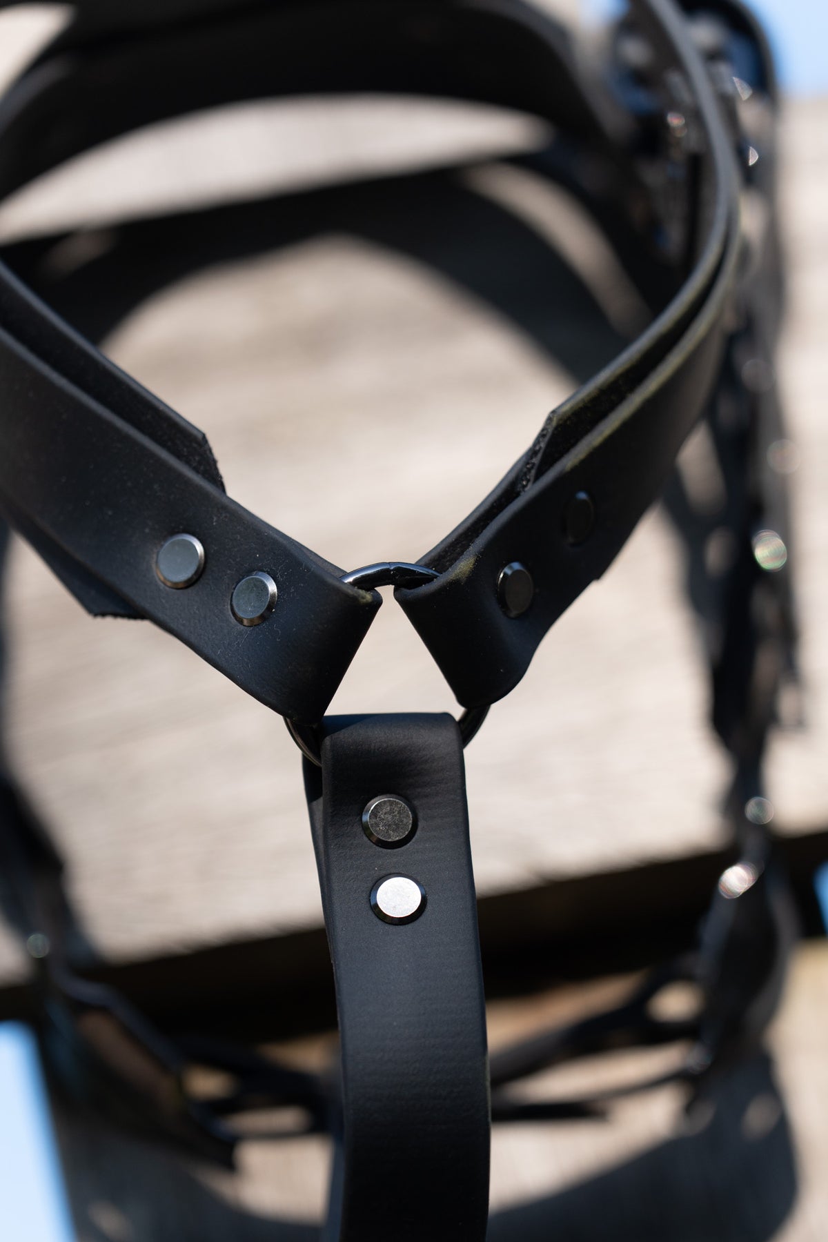 Biothane Guiding Harness Saar