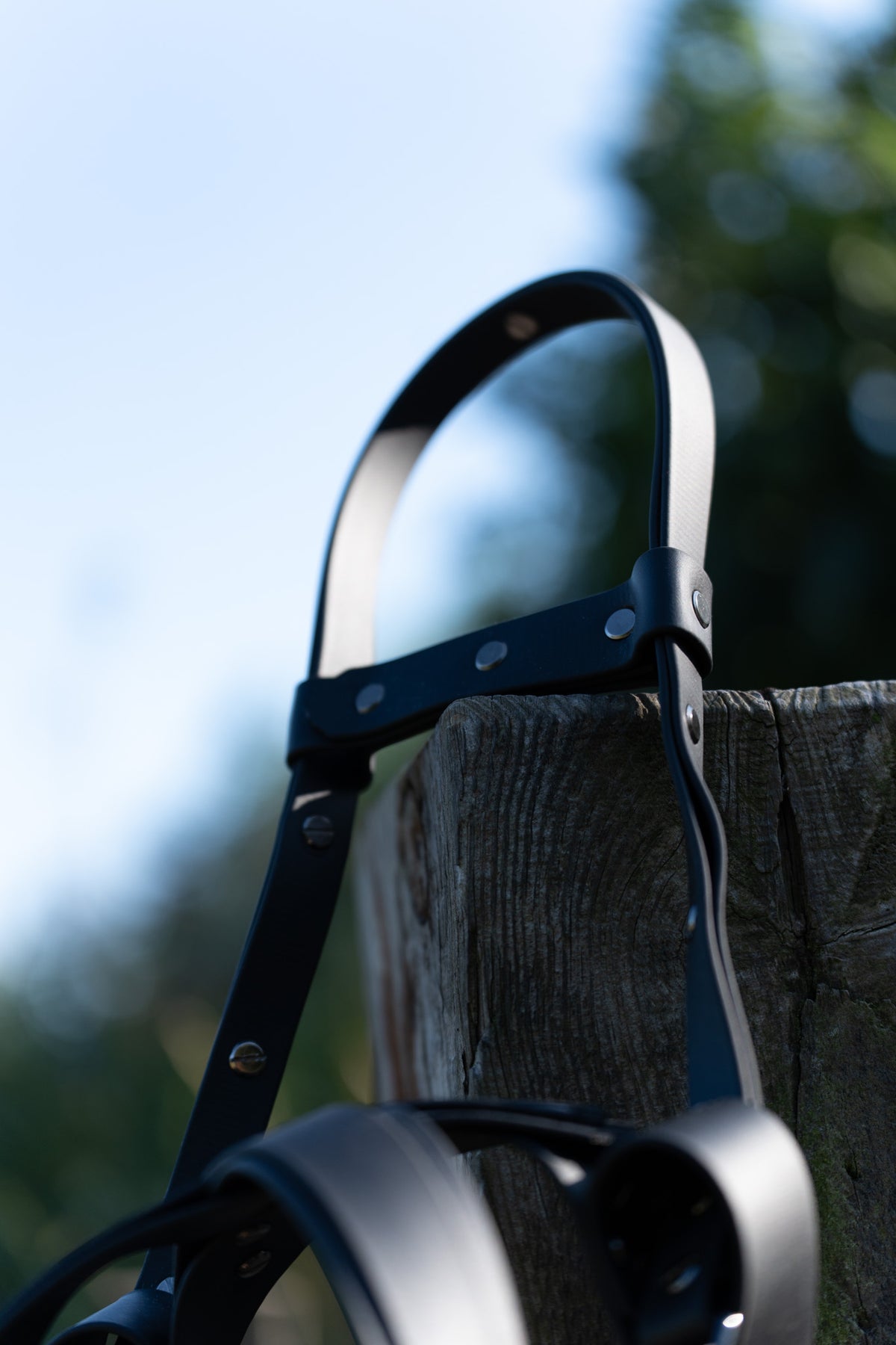 Biothane Guiding Harness Saar