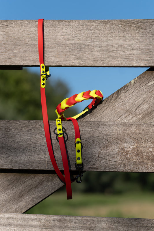 Biothane Leash Koda