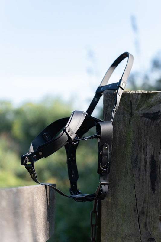 Biothane Guiding Harness Saar