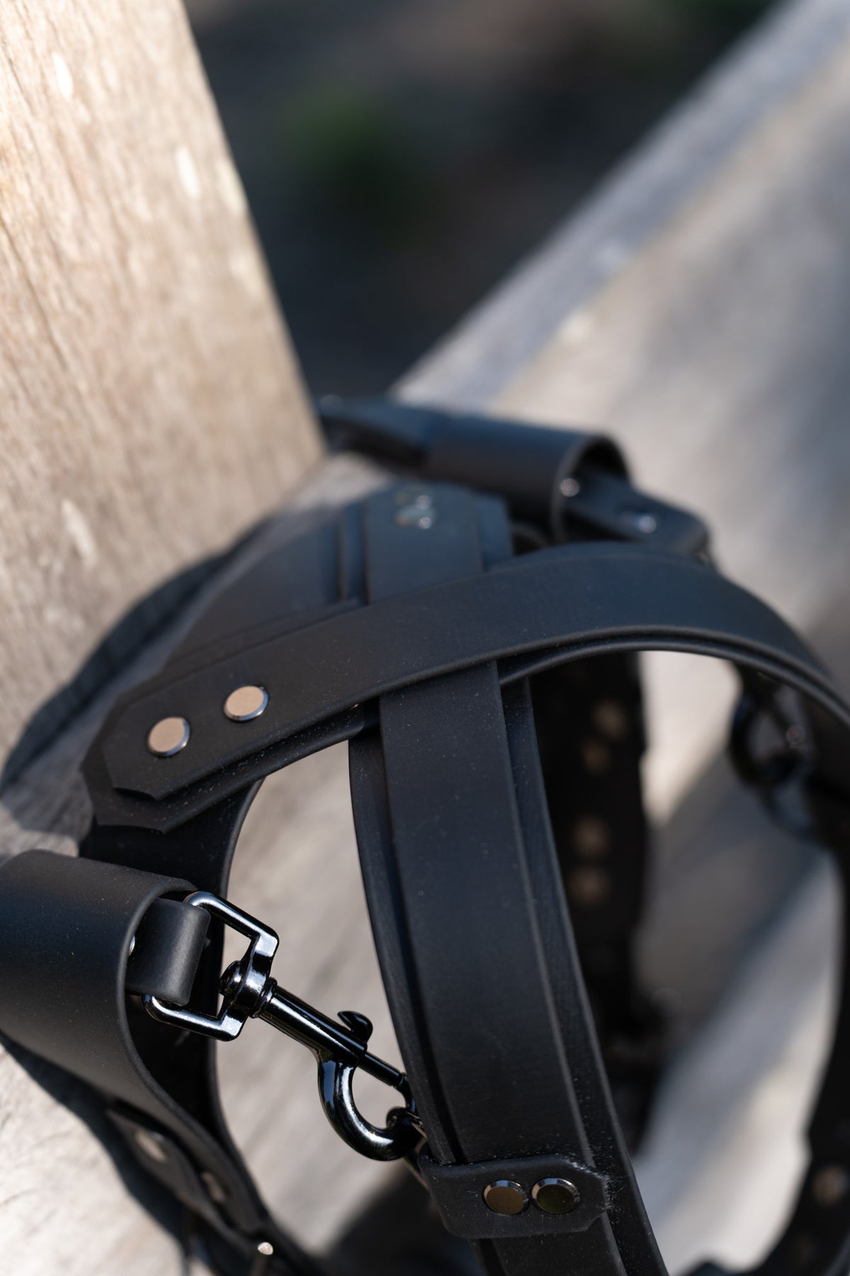 Biothane Guiding Harness Saar
