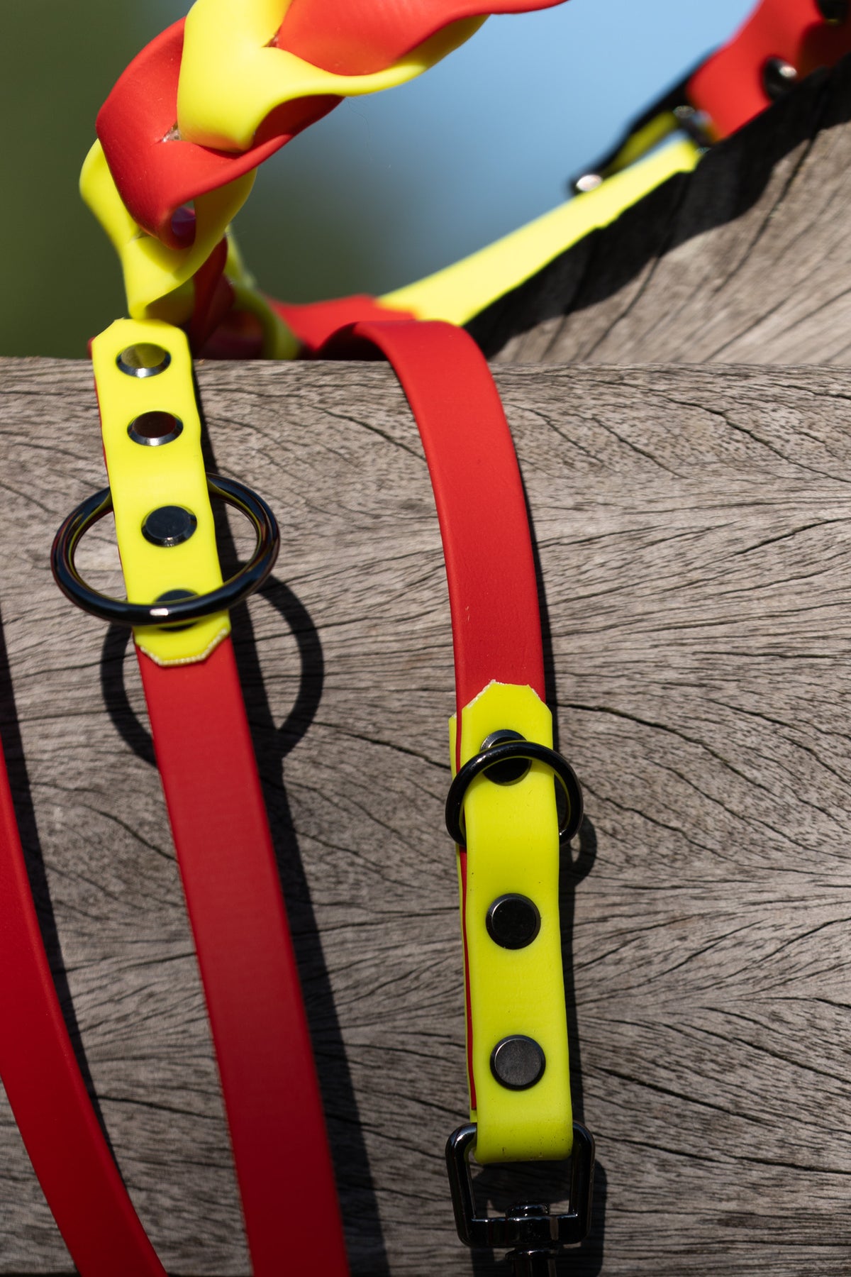 Biothane Leash Koda