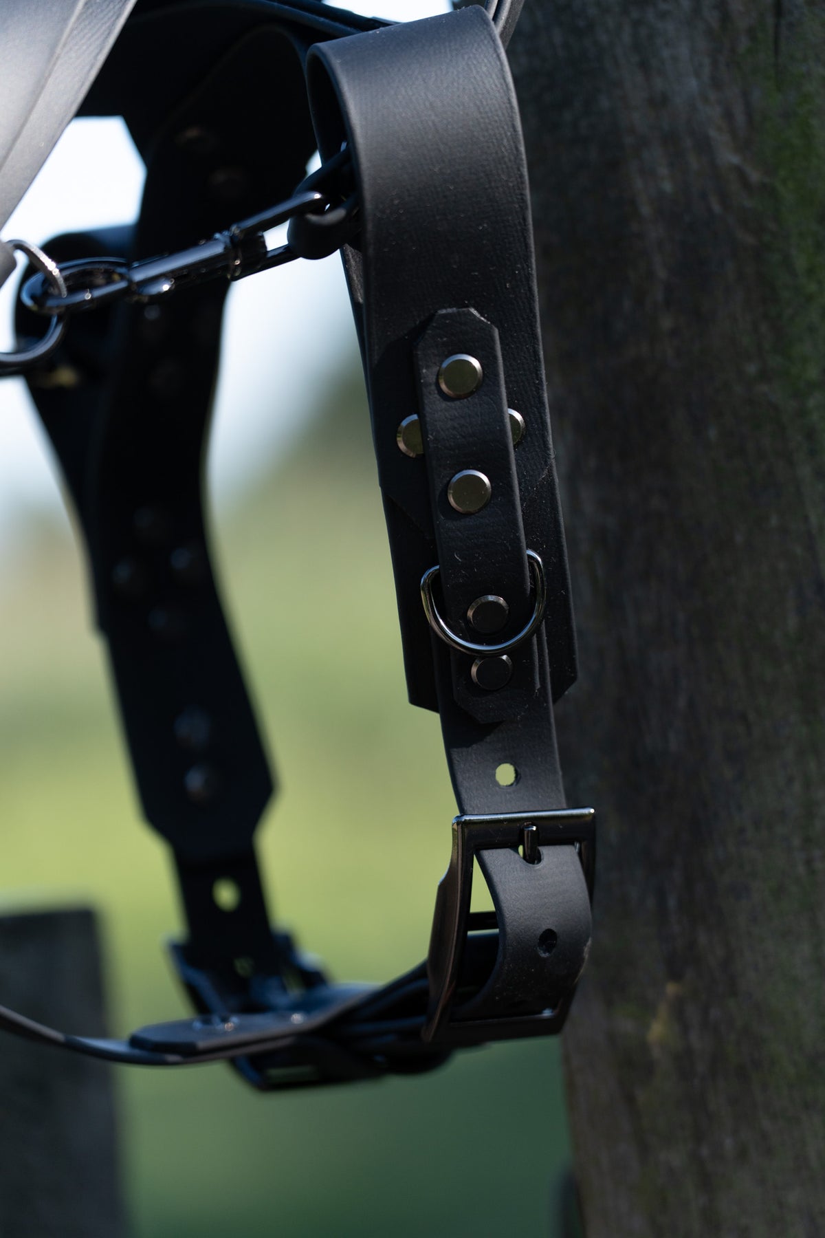 Biothane Guiding Harness Saar