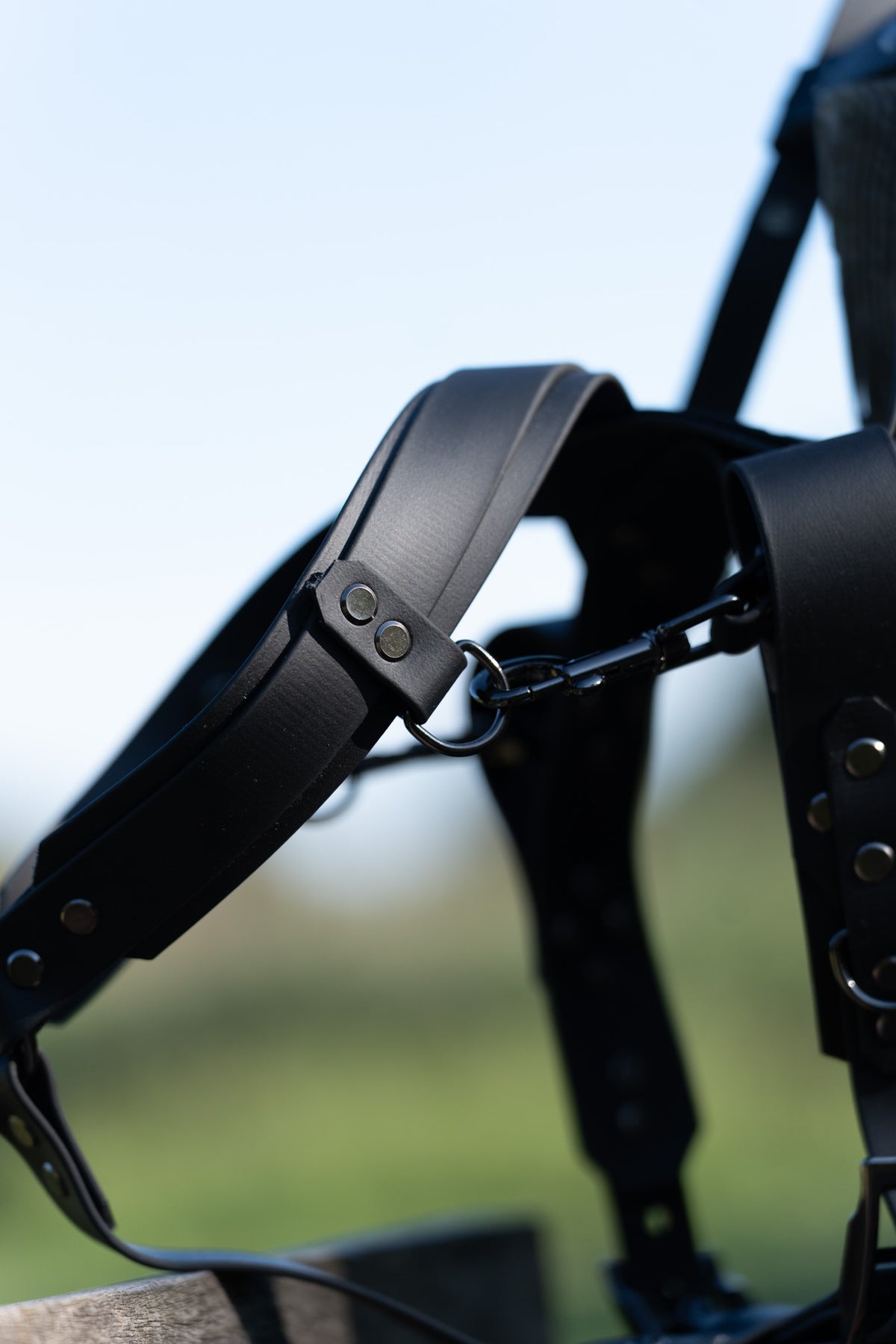 Biothane Guiding Harness Saar