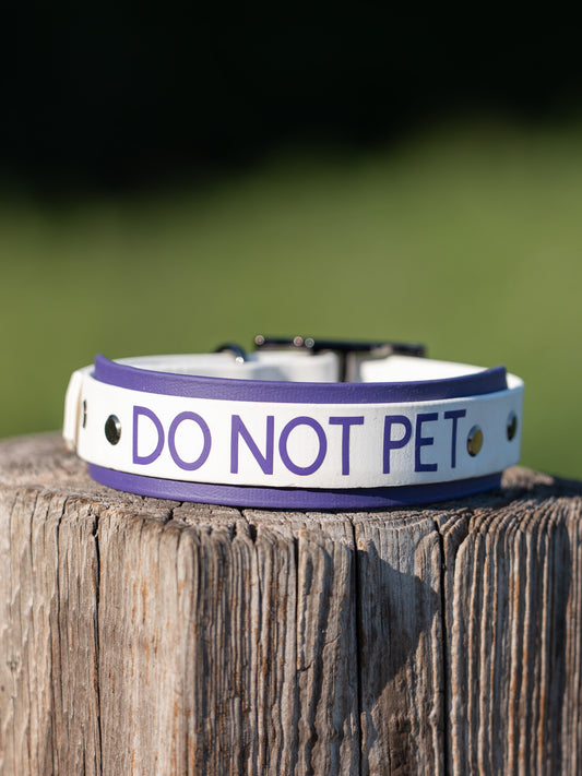 Biothane Collar Millie