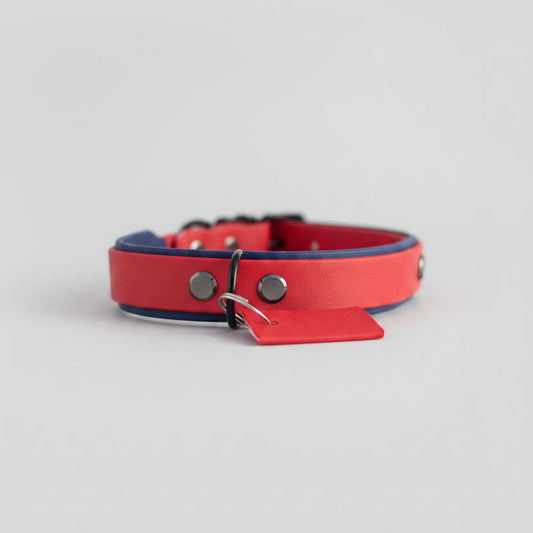 Biothane Collar Nuno
