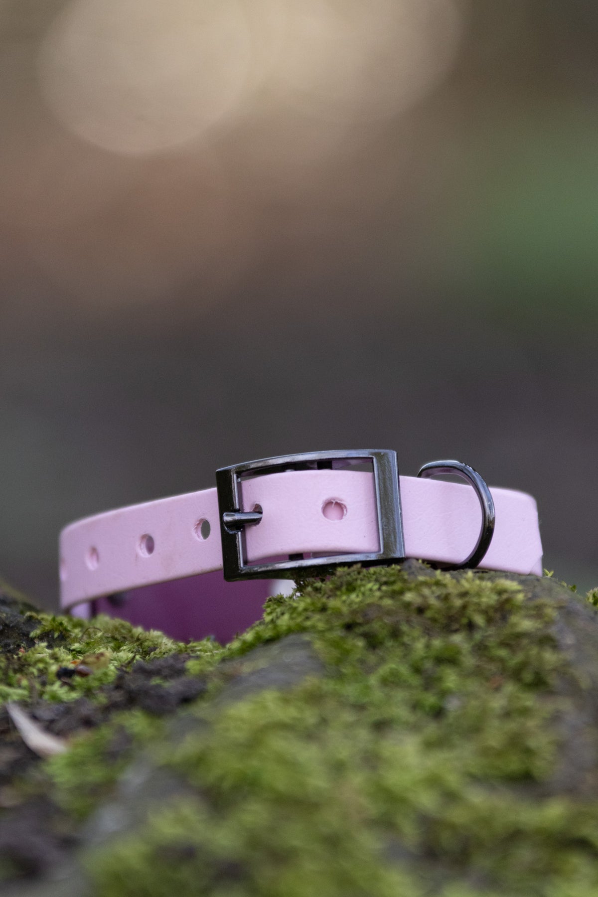 Biothane Collar Nuno