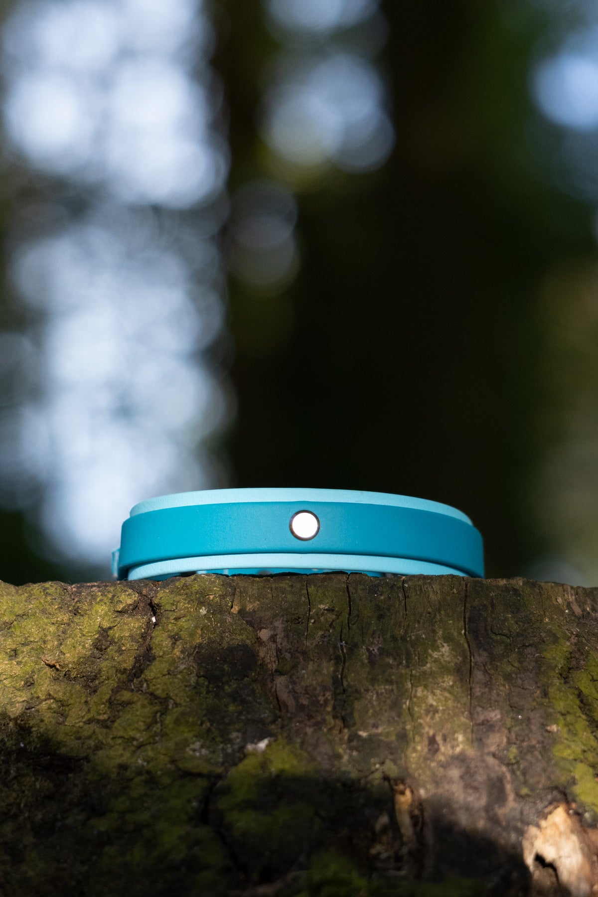 Biothane Collar Millie