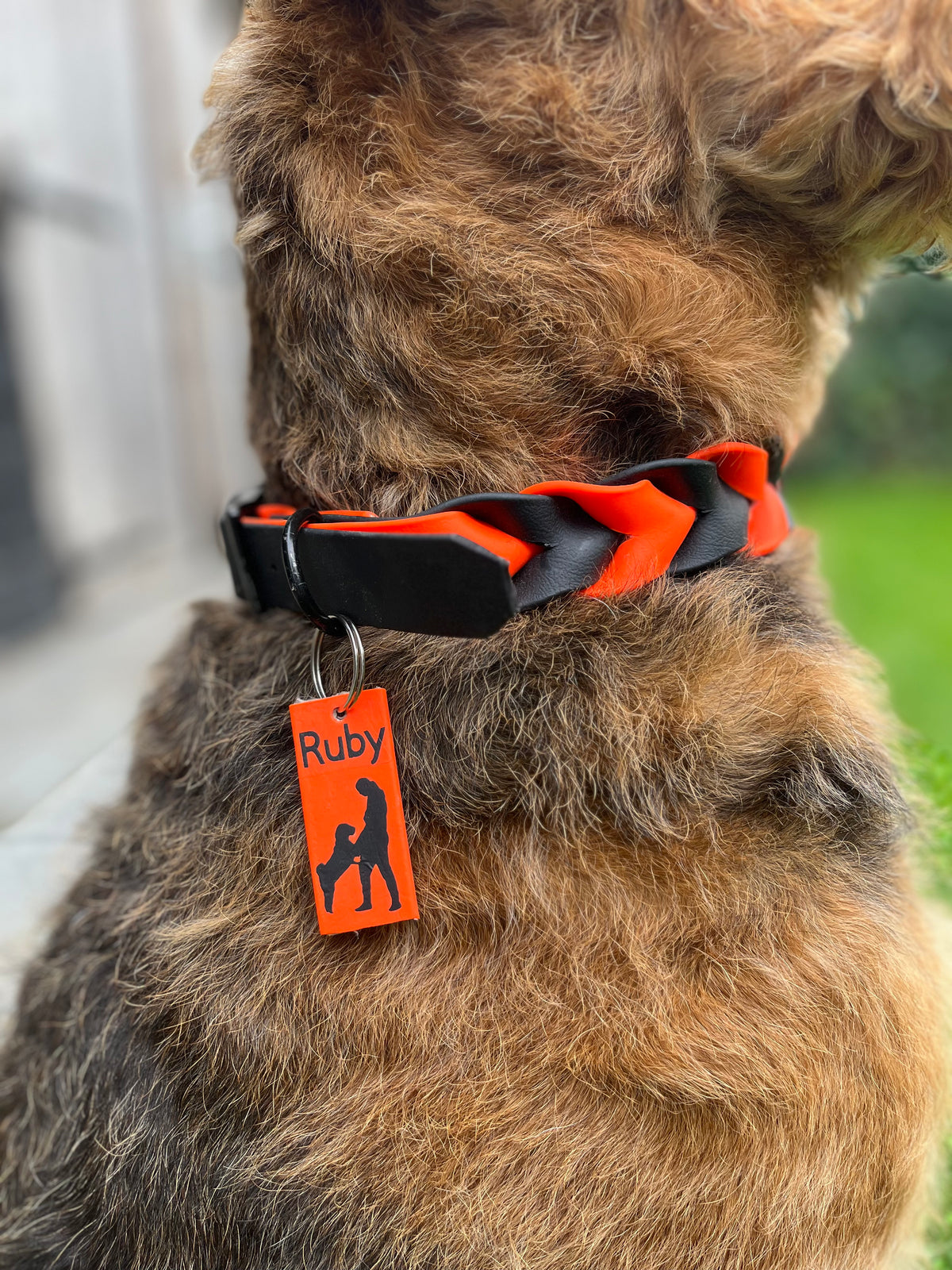Biothane Dog Tag Max