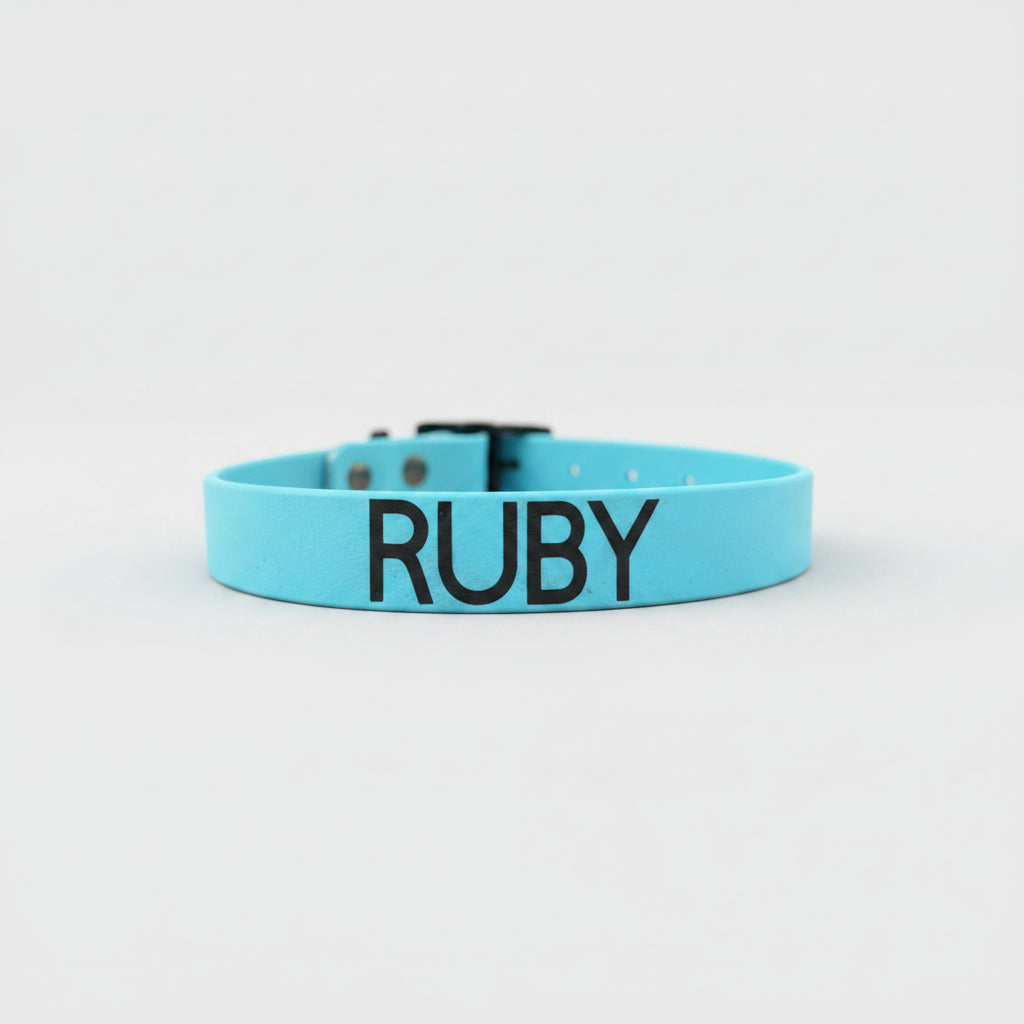 Biothane Collar Ruby