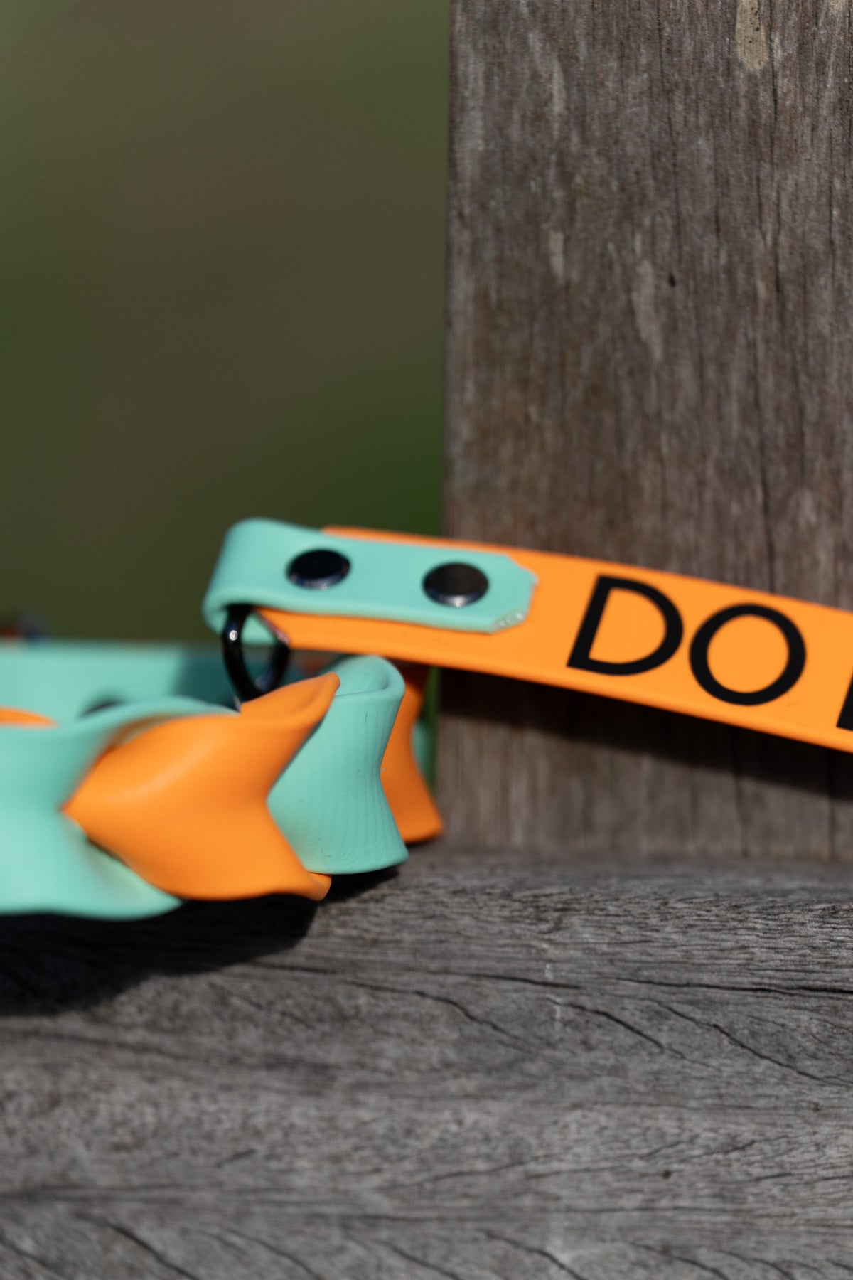 Biothane Collar Freya